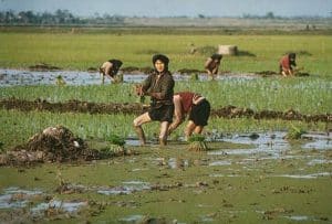 HANOI BIKING & FARMING TOUR