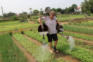 BICYCLE – TRA QUE VEGETABLE VILLAGE ½ DAY TOUR